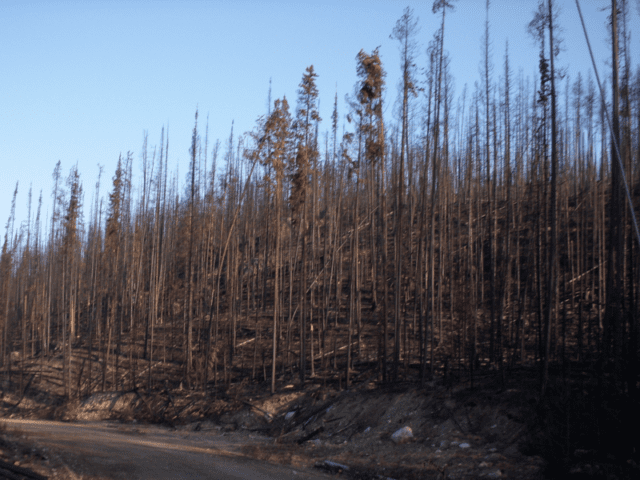 Fire, Weather & Avalanche Center OR